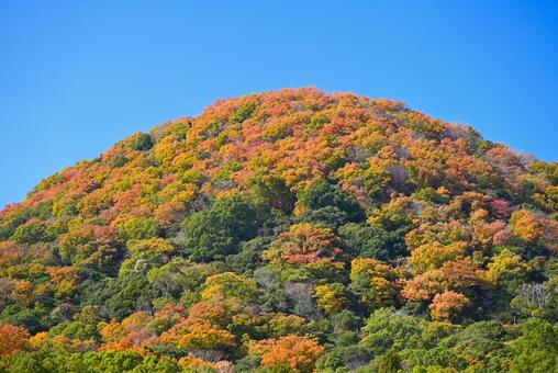 秋の甲山(兵庫) 秋,紅葉,山の写真素材