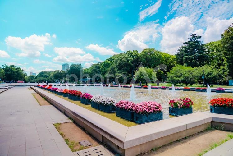 【東京】上野駅の周辺 上野公園 2025 上野,東京,上野公園の写真素材