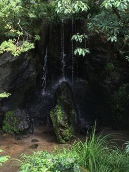 日本庭園の小さな滝と苔むした岩 日本庭園,庭園,滝の写真素材