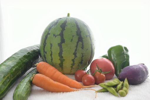 収穫した夏野菜 収穫した夏野菜の写真
