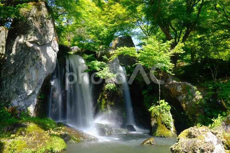 滝 自然,風景,鮮やかの写真素材