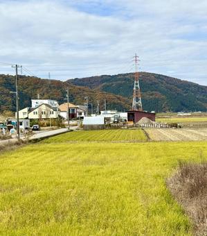 11月末の昼間　晩秋の福井県の郊外の景色 11月末,畑,田んぼの写真素材