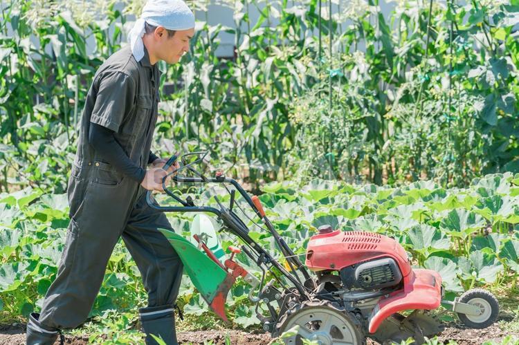 畑を小型トラクターで耕す農家の男性 農業,野菜,農家の写真素材
