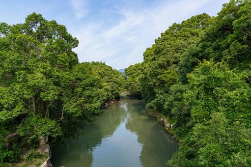 A river surrounded by fresh greenery, JPG