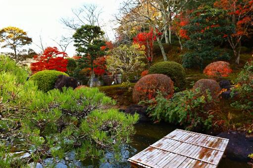奥殿陣屋の蓬菜の庭の秋の風景 奥殿陣屋,蓬菜の庭,秋の風景の写真素材