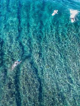 Photo, background, image of the sea, natural, 