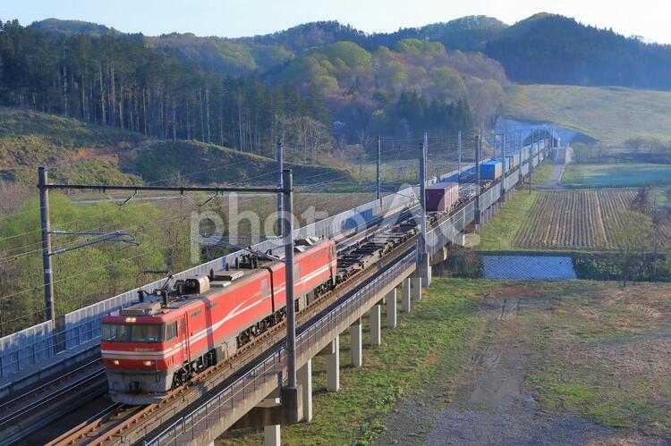 EH800貨物　北海道新幹線共用区間 eh800,北海道新幹線,新幹線の写真素材