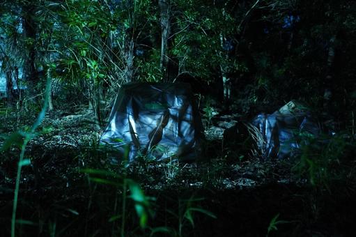松戸市、夜の大谷口歴史公園、黒い物 松戸市、夜の大谷口歴史公園、黒い物 夜,公園,暗いの写真素材