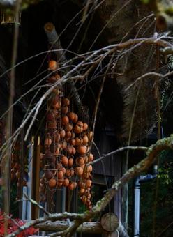 秋の風景 屋外,秋,秋の日の写真素材