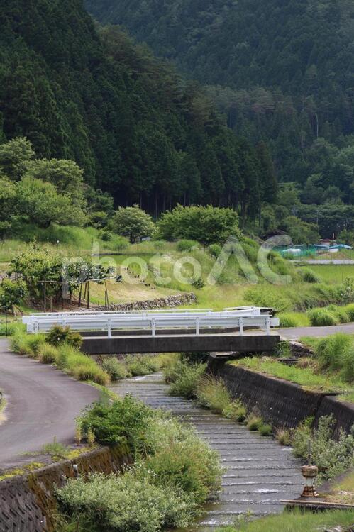 田舎の風景 自然,風景,旅の写真素材