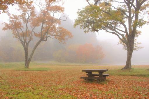 雨の日の公園 もや,秋,木の写真素材