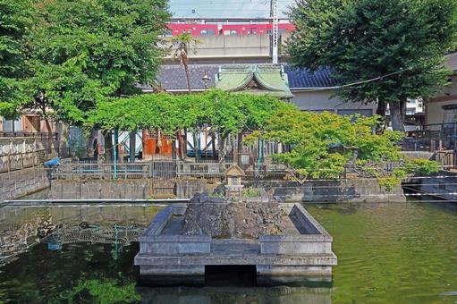鮫洲八幡神社(品川) 鮫洲八幡神社(品川)の写真