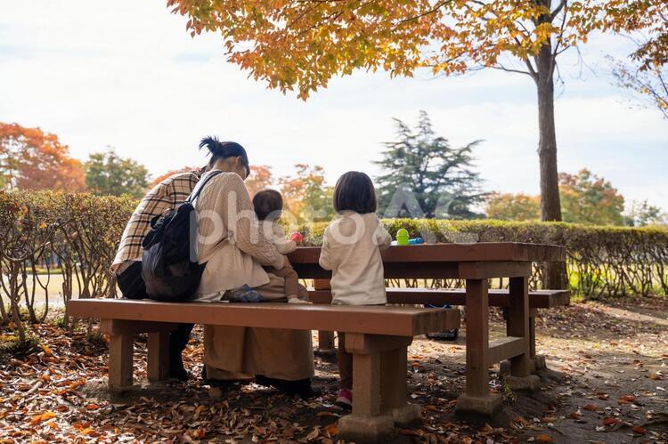 秋の公園で遊ぶ家族・ファミリー ピクニック,家族,子供の写真素材