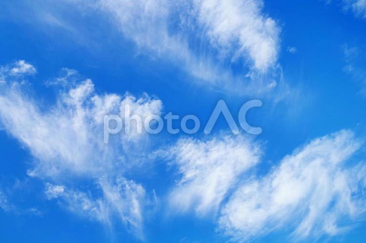 秋晴れの日の爽やかな青空と白い雲 秋,空,秋空の写真素材
