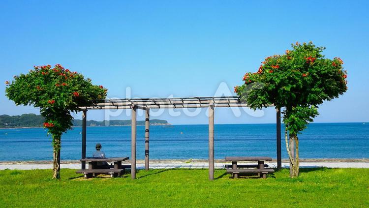 海を臨むあずまや 海,夏,青空の写真素材