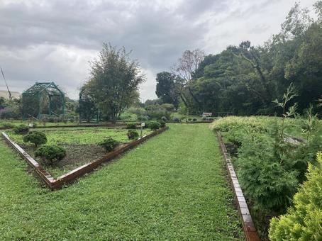 ガーデン⑥ ガーデン⑥ 公園,ガーデン,ハーブの写真素材