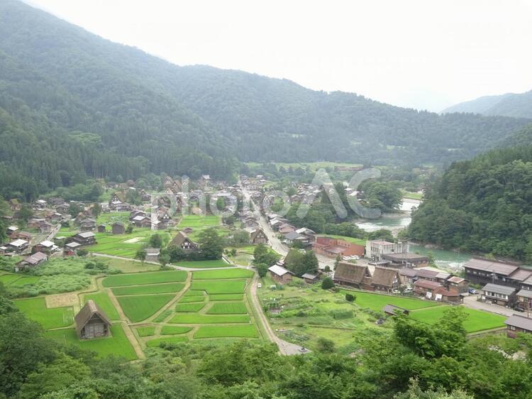 白川郷の展望台風景1 白川郷,展望台,合掌造りの写真素材
