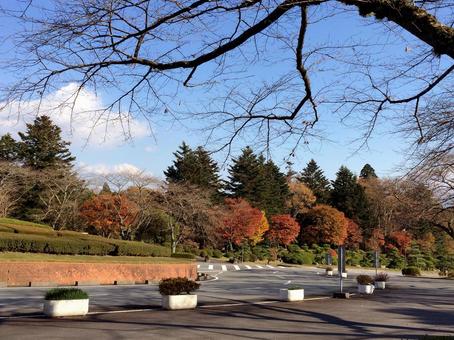 観光地の紅葉と秋空1 観光地の紅葉と秋空1 風景,紅葉,秋の写真素材