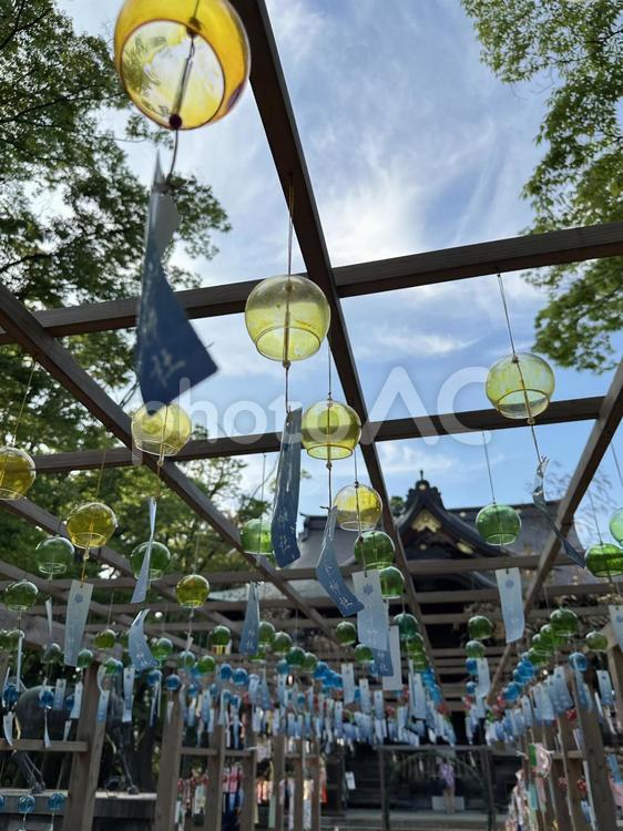 金峯神社の風鈴 風鈴,風鈴祭り,夏詣の写真素材