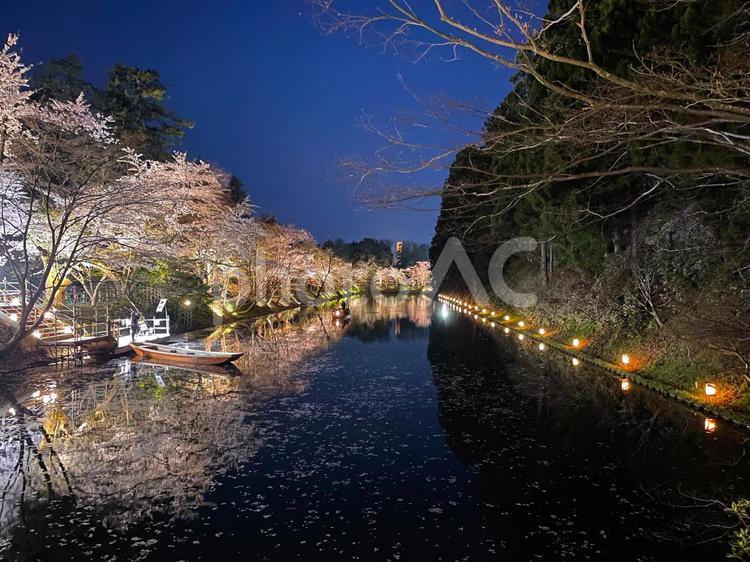 弘前城さくらまつり夜の堀 弘前城さくらまつり夜の堀,夜,船の写真素材