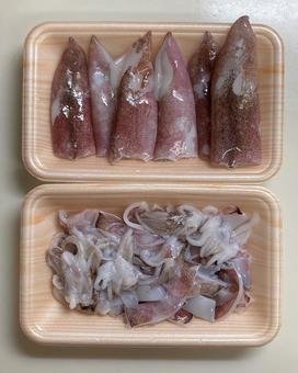 ヤリイカ 料理用処理 ヤリイカ 料理用処理 イカ,料理,ヤリイカの写真素材