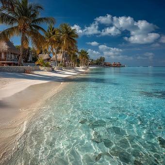 熱帯のビーチ：エメラルドの輝きの写真