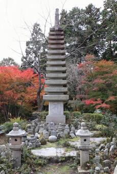 善峯寺　蓮華寿院旧跡庭 善峯寺,蓮華寿院旧跡庭,紅葉の写真素材