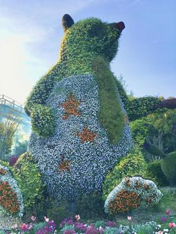クマのフラワートピアリー クマのフラワートピアリー 浜松フラワーパーク,植物園,クマの写真素材