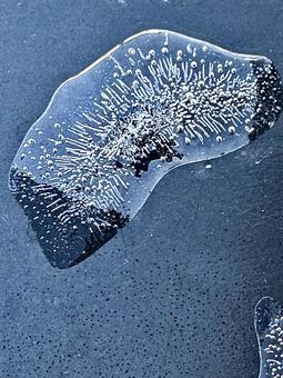 氷 氷の写真