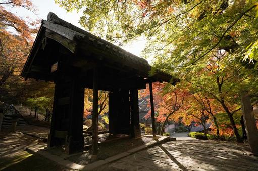 福岡 秋月 秋月城本門5 秋月城本門,黒門,秋月城の写真素材