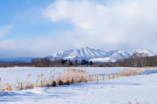 冬の牧場と然別の山々 冬の牧場と然別の山々の写真
