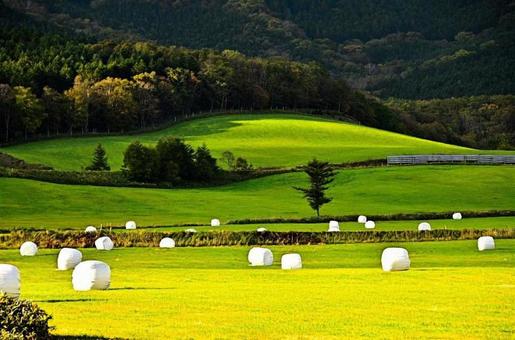 北海道の風景 10956 北海道の風景 10956の写真