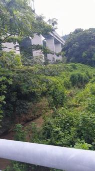 梶原川 -那珂川市 松本 梶原川 -那珂川市 松本 梶原川,町中,地方の写真素材