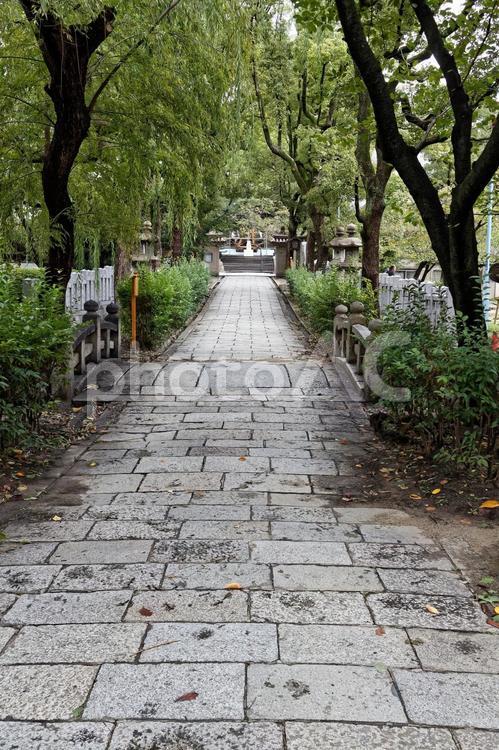 石畳の道イメージ素材 石畳,道,続く道の写真素材