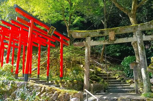 伊奈波神社 伊奈波神社の写真