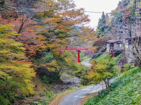 【和歌山県】高野町・極楽橋  極楽橋,高野町,高野街道京大坂道の写真素材