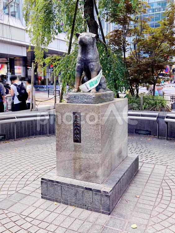 東京風景・渋谷 渋谷,ハチ公,忠犬ハチ公の写真素材