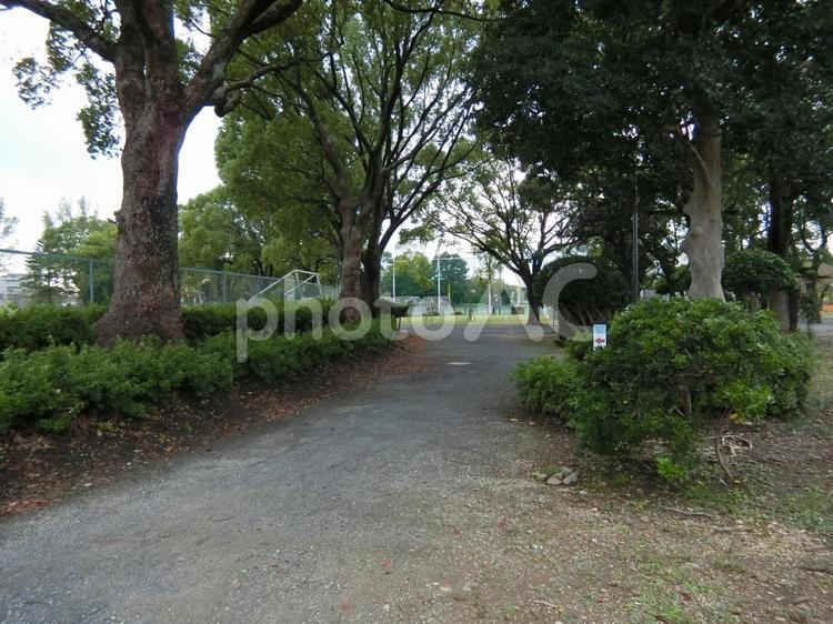 豊川公園の風景 公園,散歩,風景の写真素材