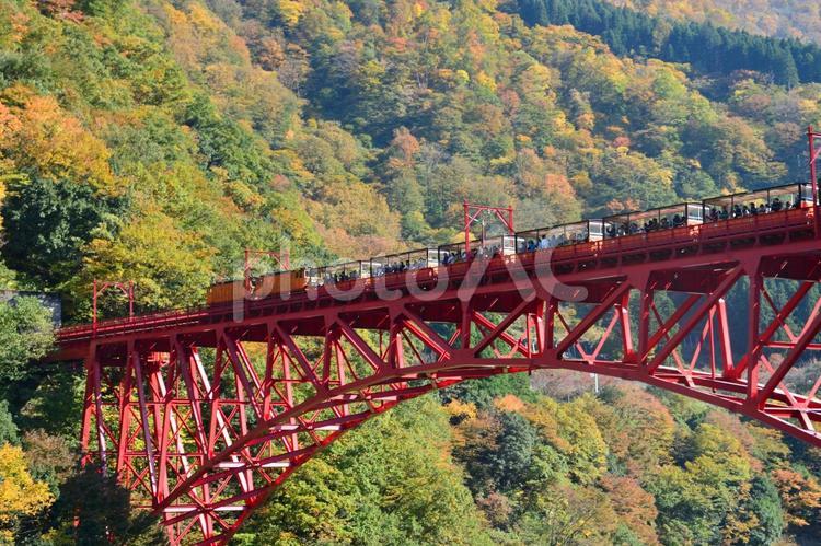 トロッコ列車と鉄橋と黒部峡谷 トロッコ電車,鉄橋,紅葉の写真素材