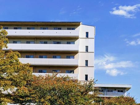 青空の下の共同住宅 公営住宅,共同住宅,集合住宅の写真素材