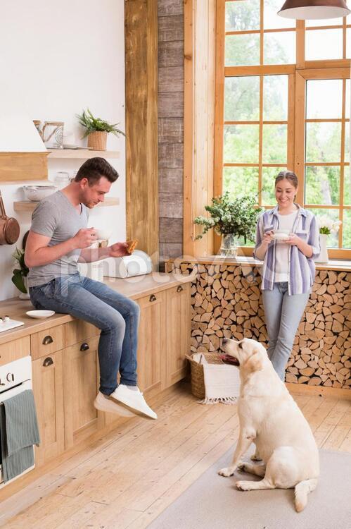 食事をするカップルと犬 ペット,犬,男女の写真素材