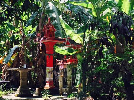 タイの風景の写真