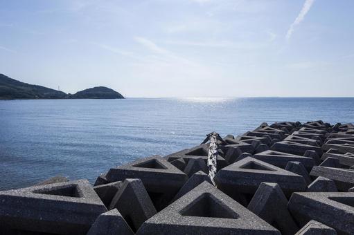 Nizaki Coast 10 (Tahara City), JPG