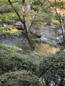 池 池 池,自然,風景の写真素材