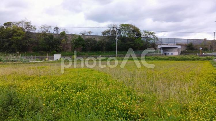 農地-宇美町 農地,草地,田舎の写真素材