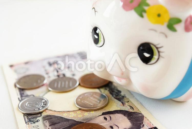 豚の貯金箱と現金6 豚の貯金箱,貯金箱,ちょきんばこの写真素材