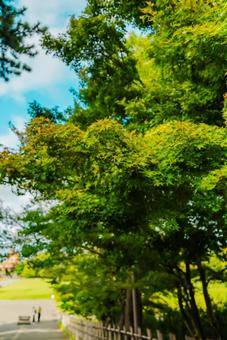 【石川】金沢城跡 【石川】金沢城跡 石川,金沢城跡,金沢の写真素材