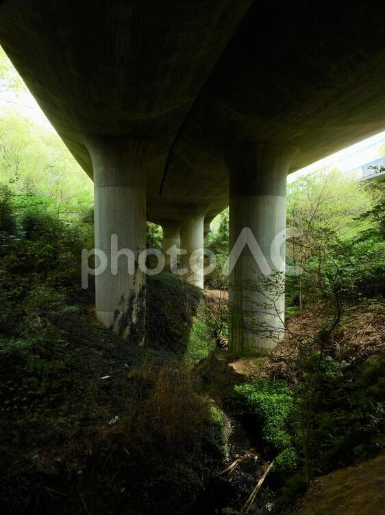 環状二号線高架下 環状二号,道路下,川の写真素材