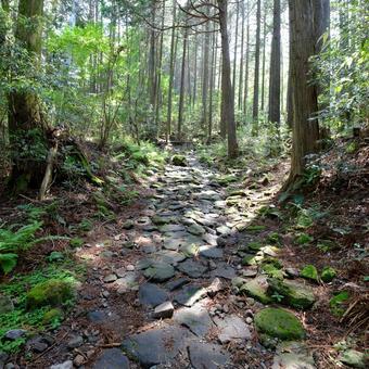 Stone pavement of the old Tokaido road in Hakone-1, JPG