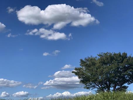 夏の青空 夏の青空の写真